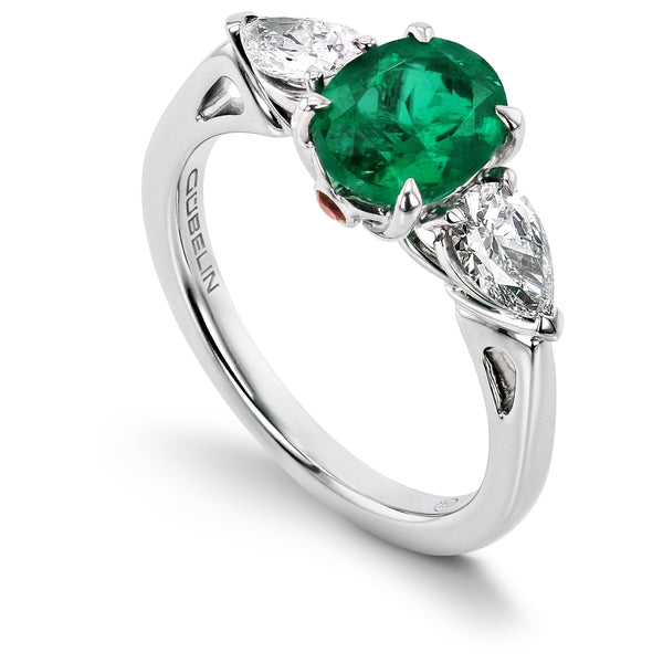 Ring WG 750 – 2005716
