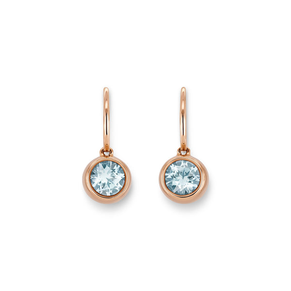 Drop earrings RG 750 – 2007945