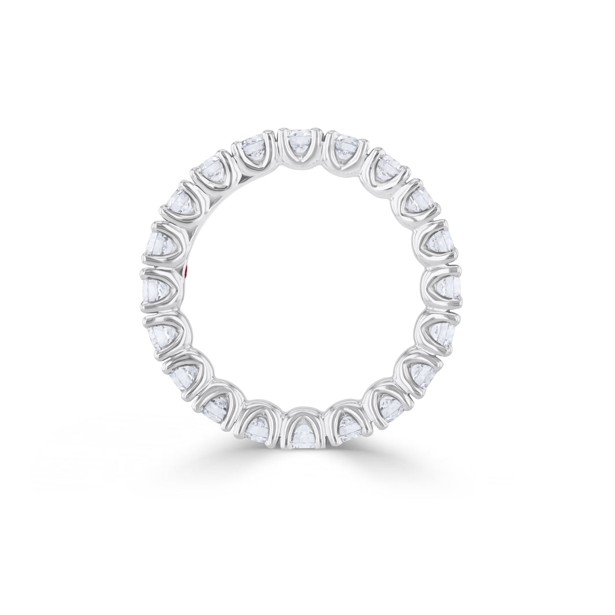 Eternity ring WG 750*BR – 2009976
