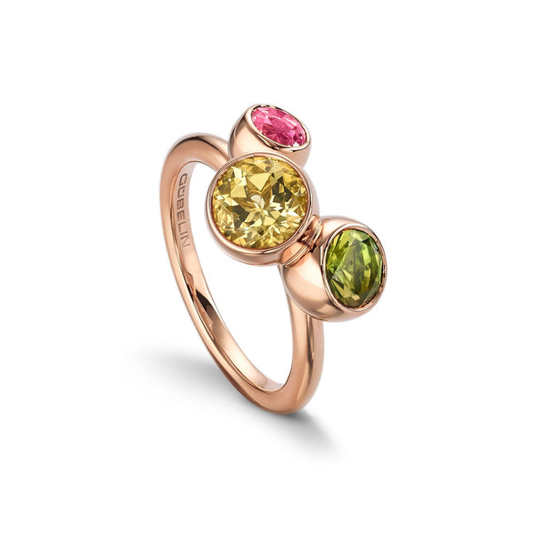 Ring RG 750 – 2005849
