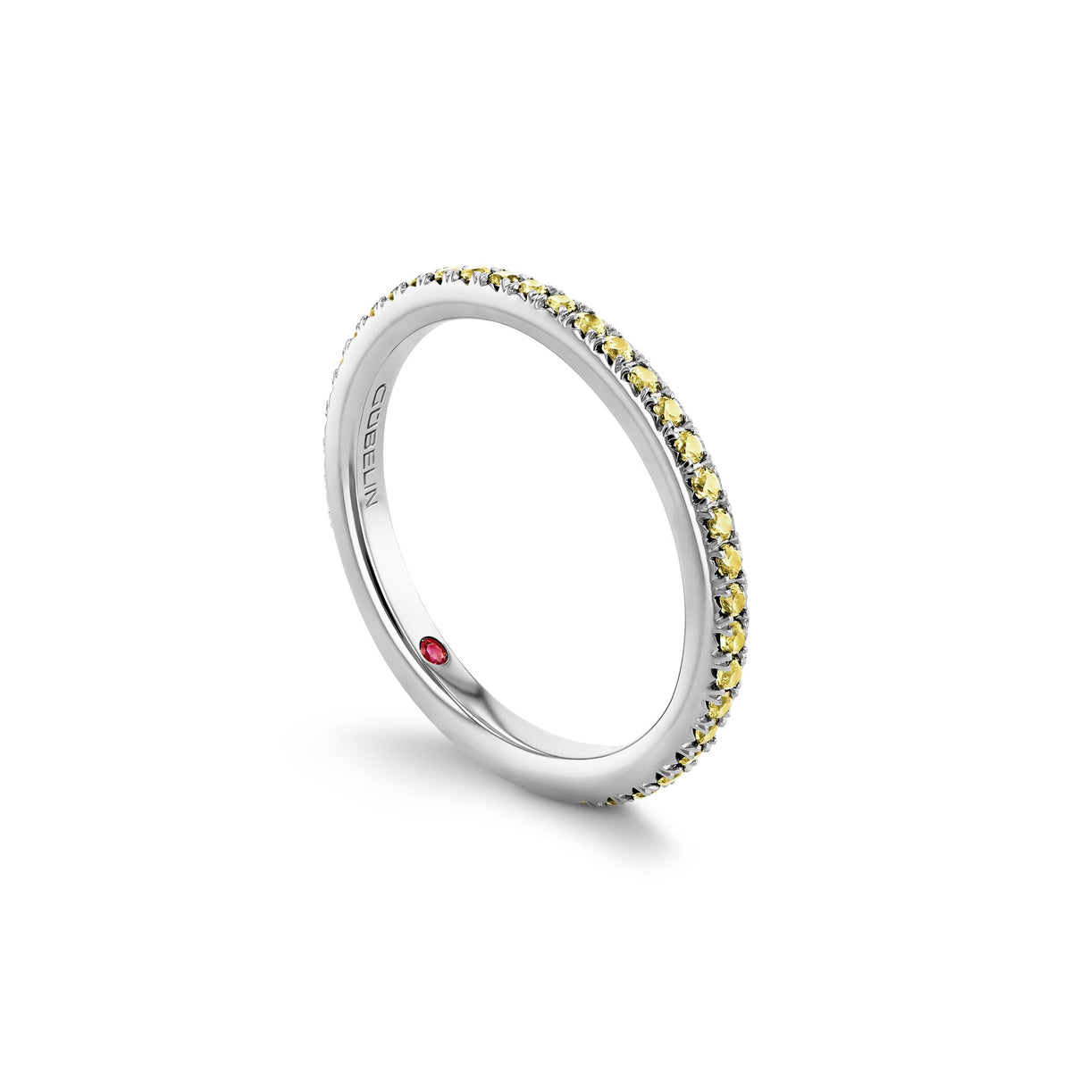 Ring WG 750 – 2008108