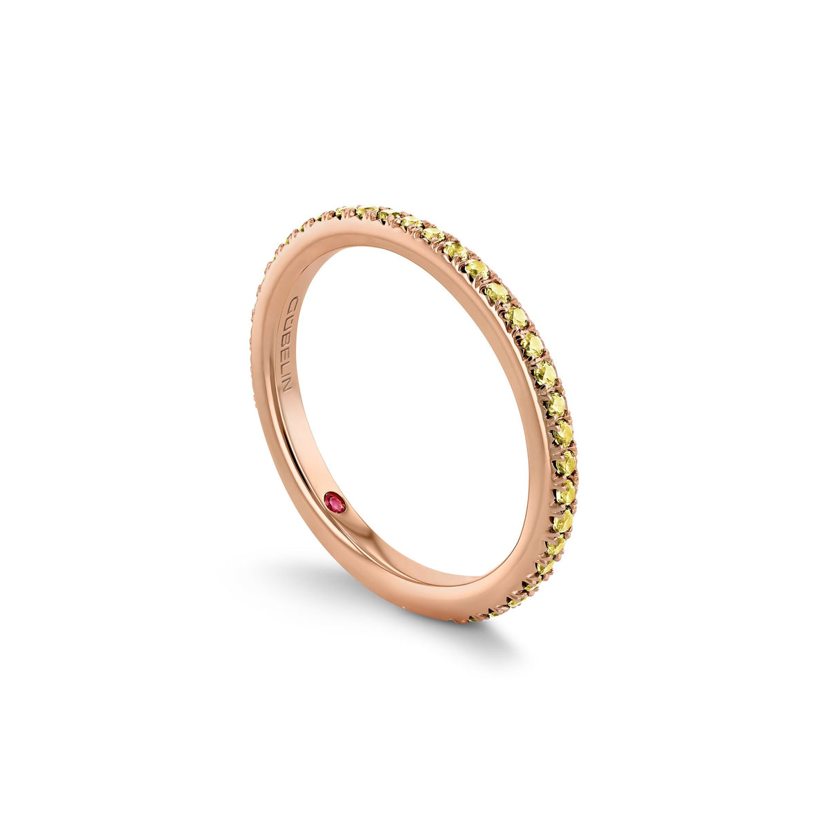 Ring RG 750 – 2007895