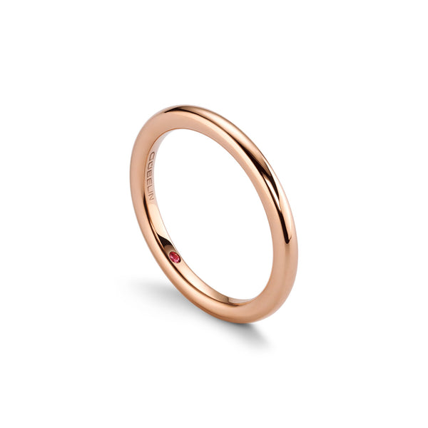 Ring RG 750 – 2005871