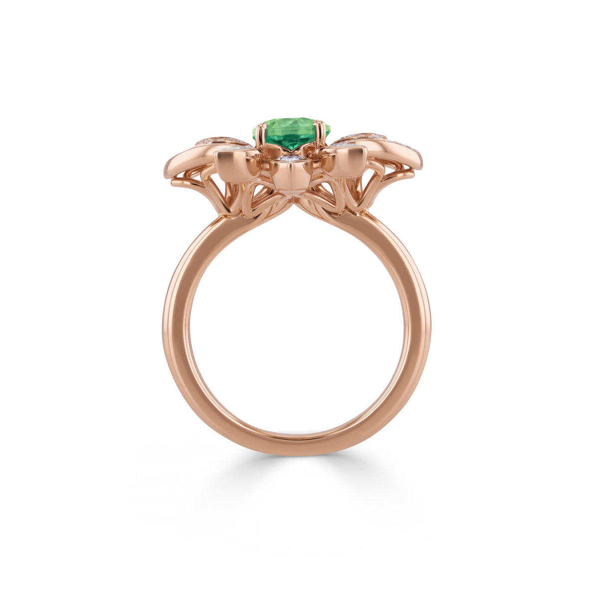 Ring RG 750 – 2015135