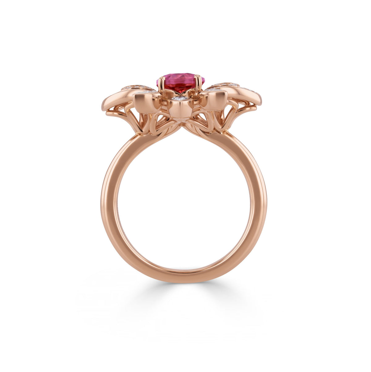 Ring RG 750 – 2015135