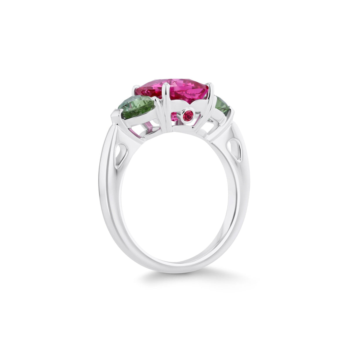 Ring WG 750 – 2014377