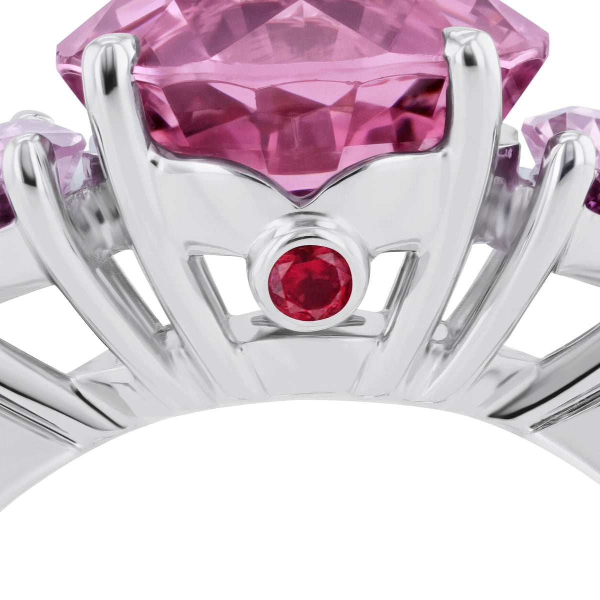 Ring WG 750 – 2014377