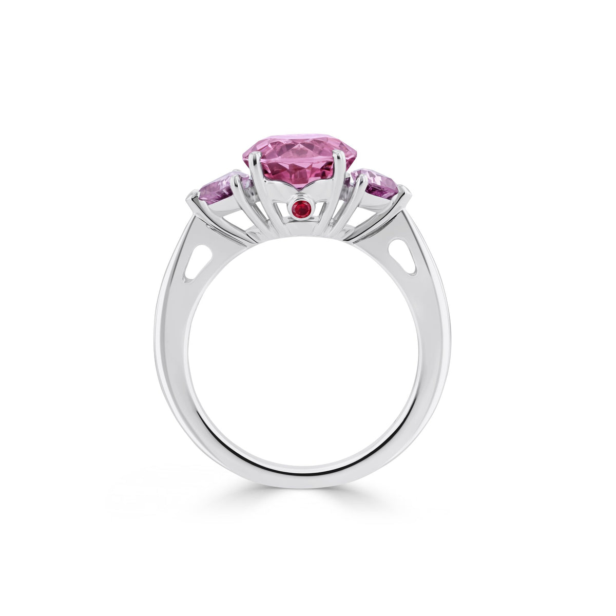 Ring WG 750 – 2014377