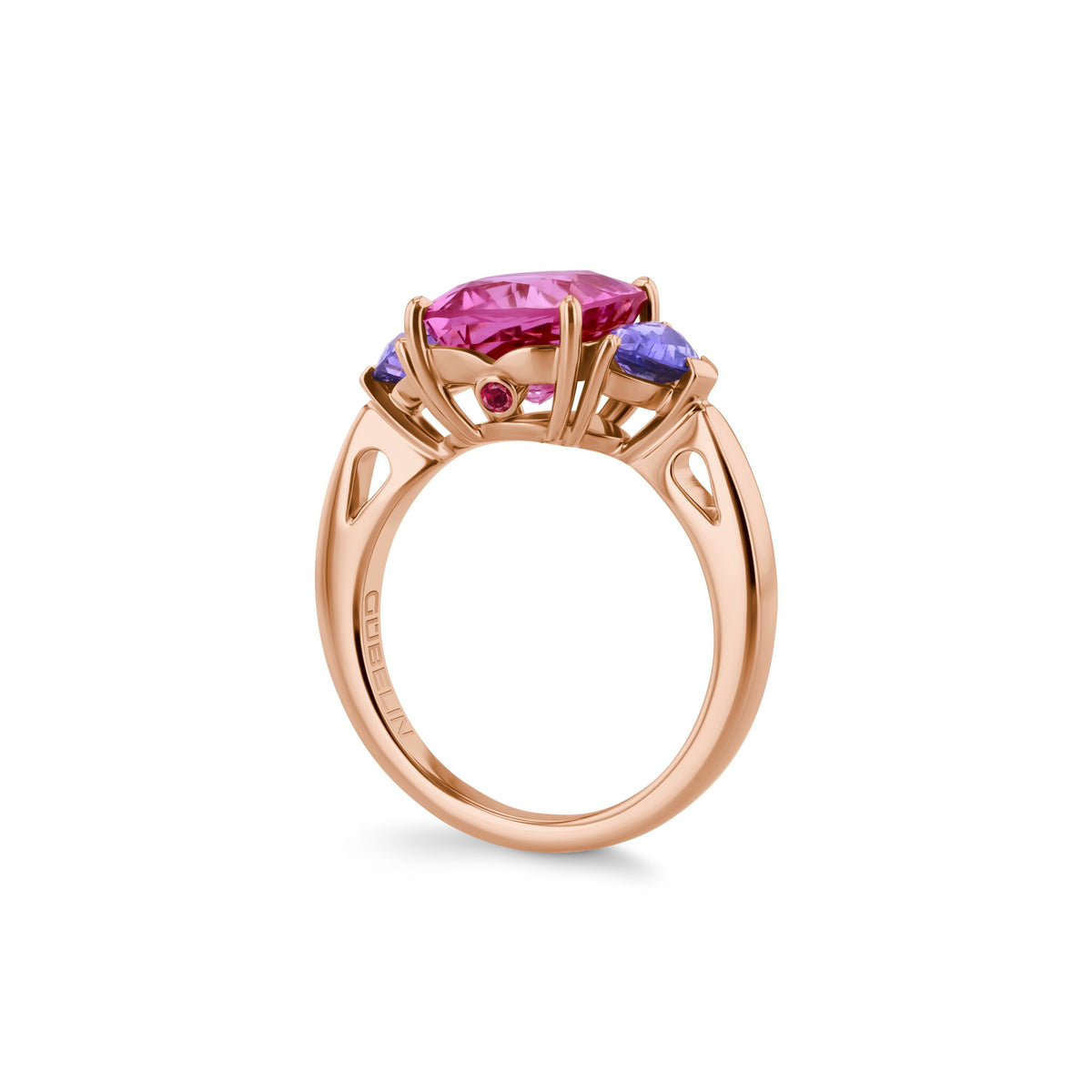 Ring RG 750 – 2014378