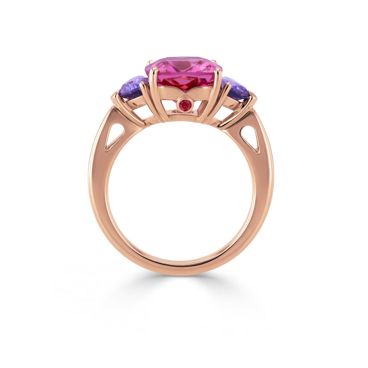 Ring RG 750 – 2014378