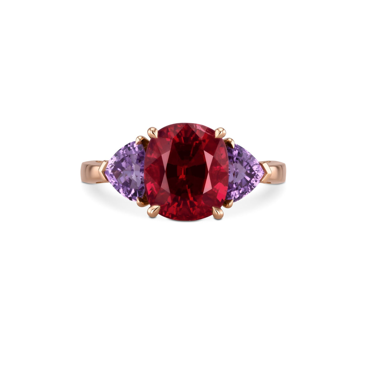 Ring RG 750 – 2014378