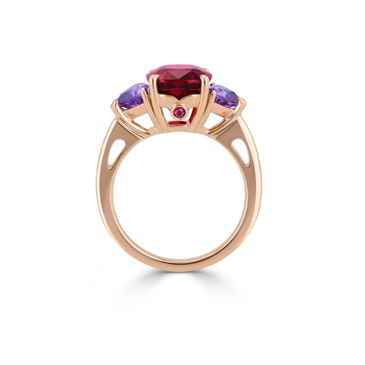 Ring RG 750 – 2014378