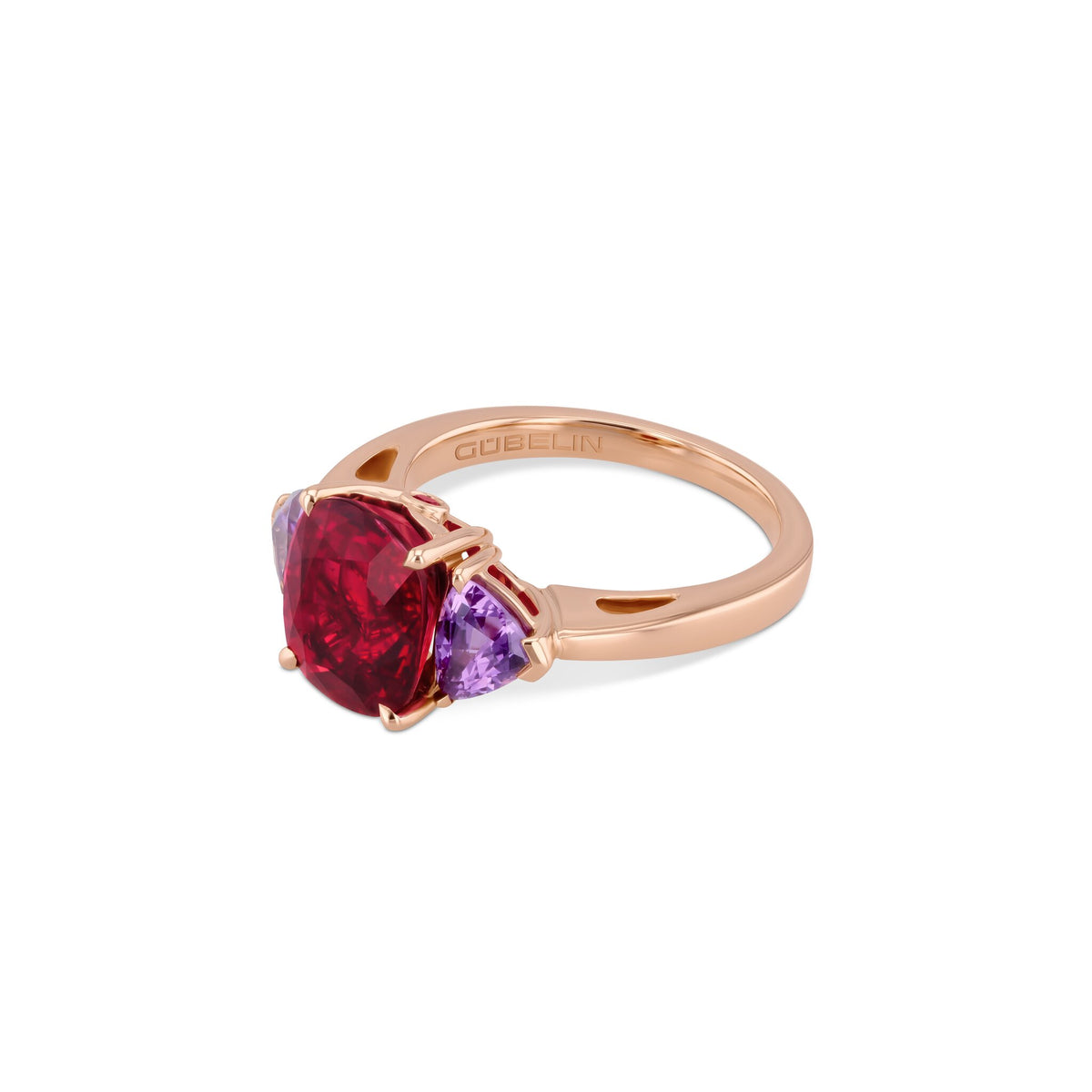 Ring RG 750 – 2014378