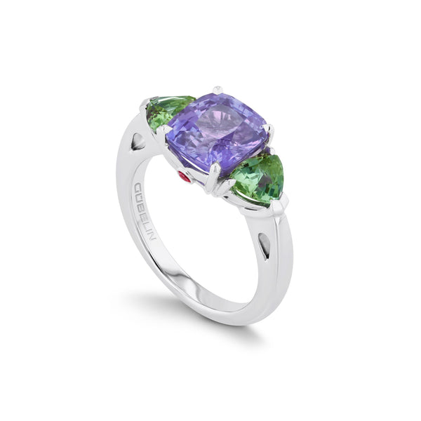 Ring WG 750 – 2014778