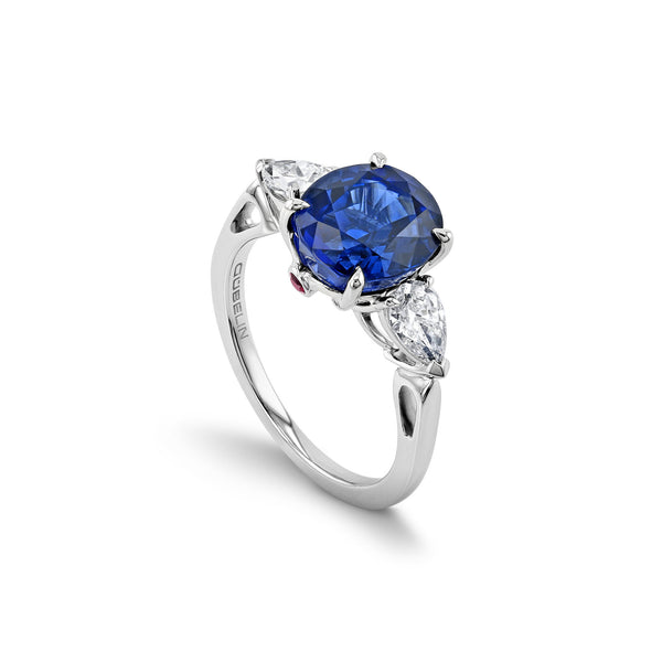 Ring WG 750 – 2005901