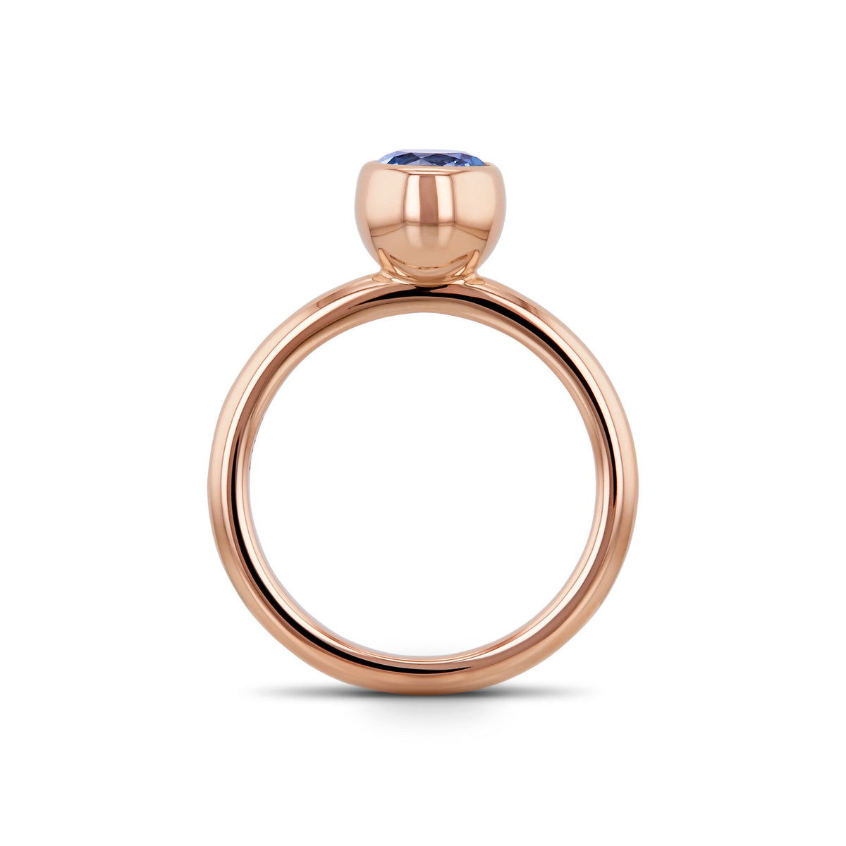 Ring RG 750 – 2005919