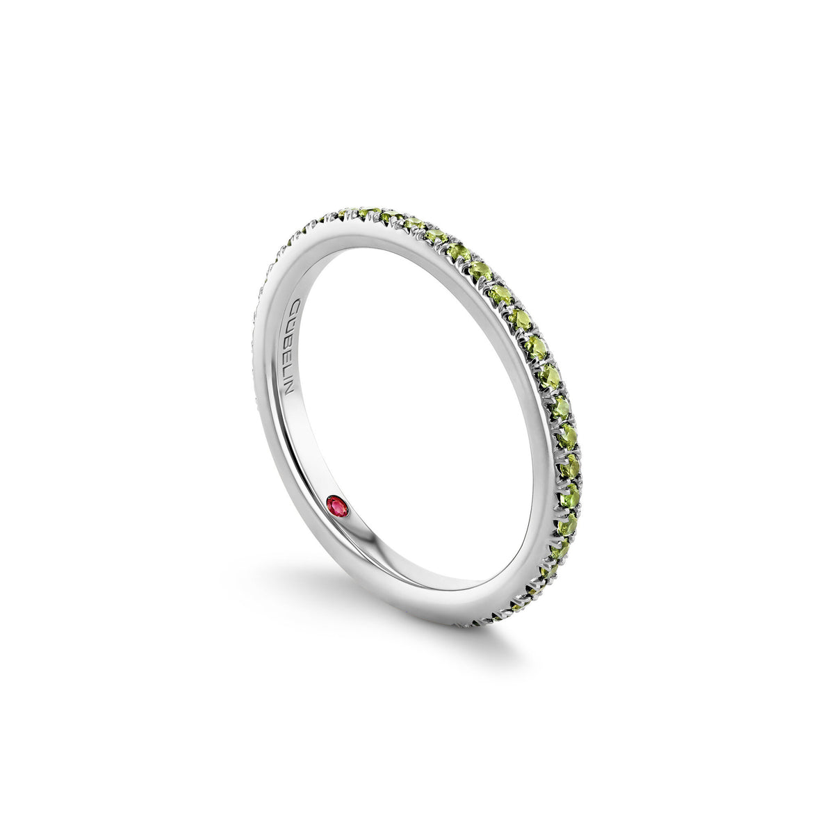 Ring WG 750 – 2008737