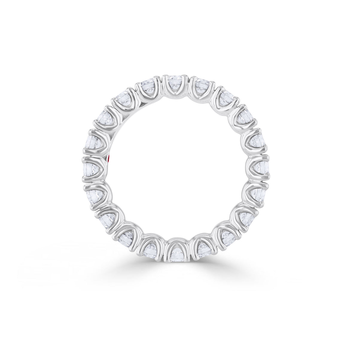 Eternity ring WG 750*BR – 2009976