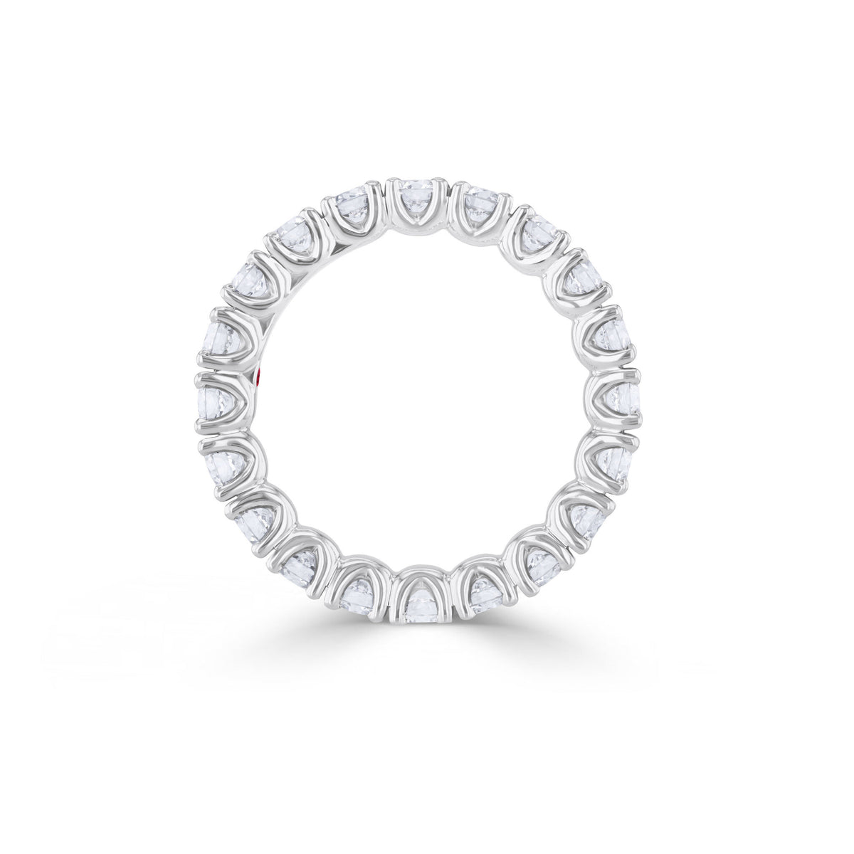 Eternity ring WG 750*BR – 2009976