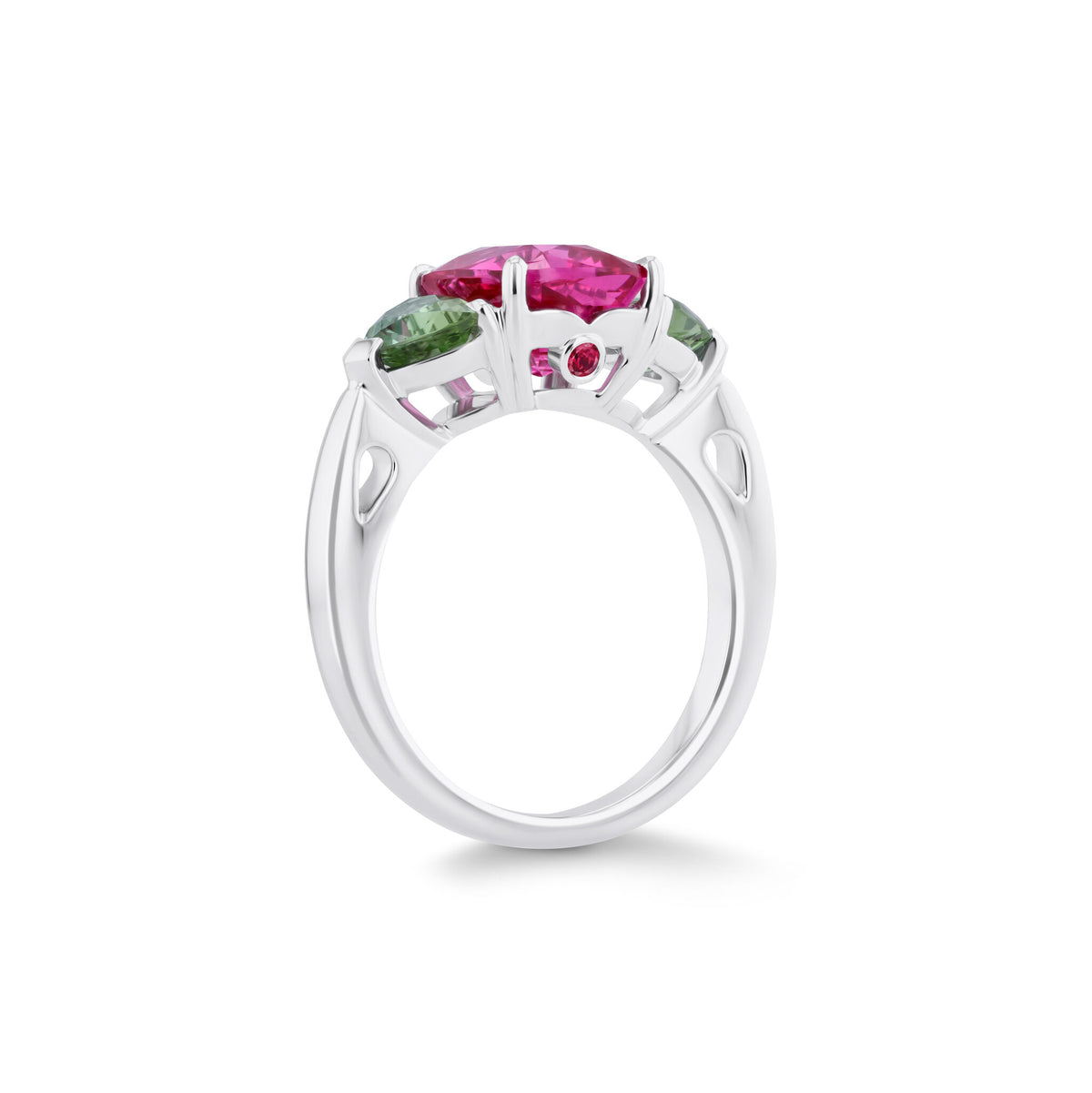 Ring WG 750 – 2014377