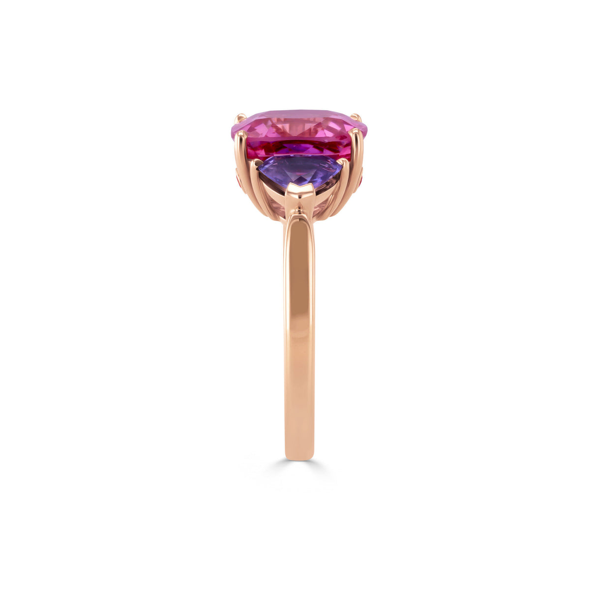 Ring RG 750 – 2014378