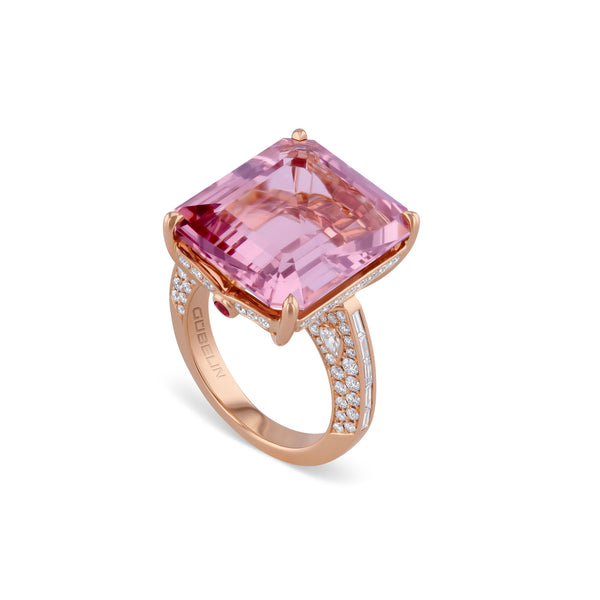 Ring RG 750 – 2015442
