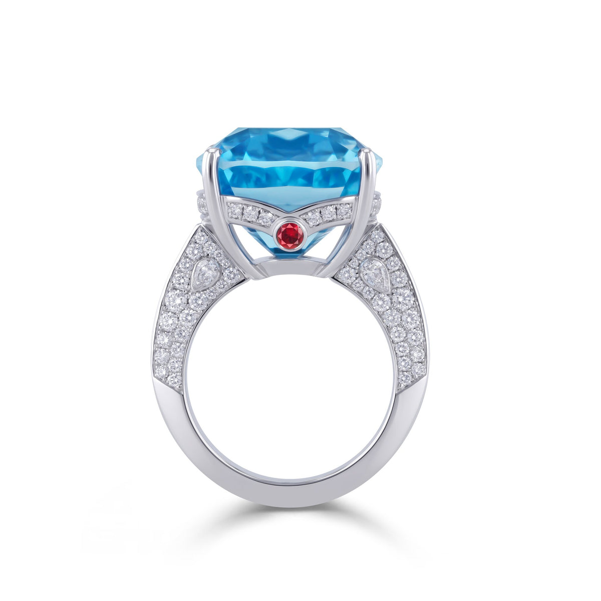 Ring WG 750 – 2015443