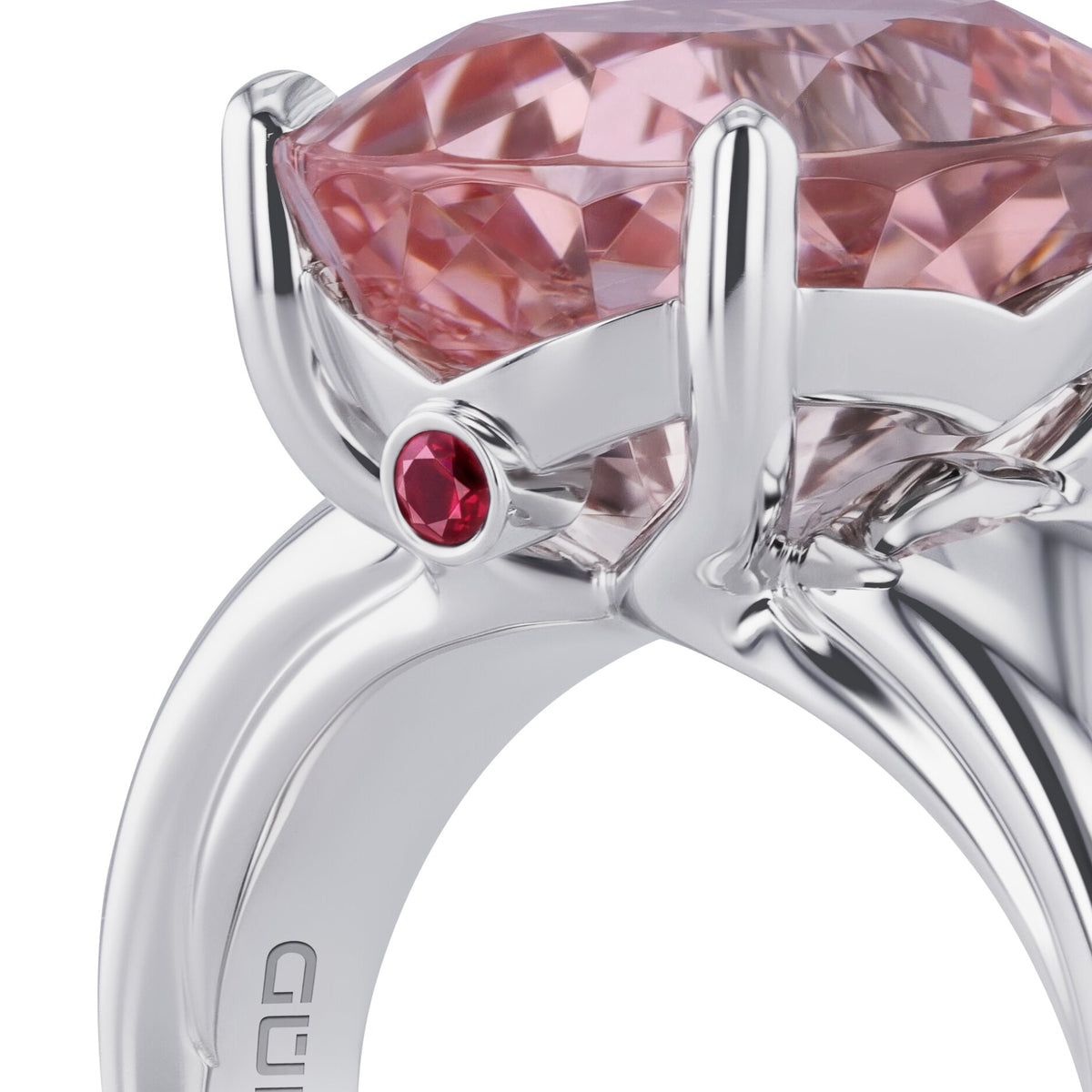 Ring WG 750 – 2015723