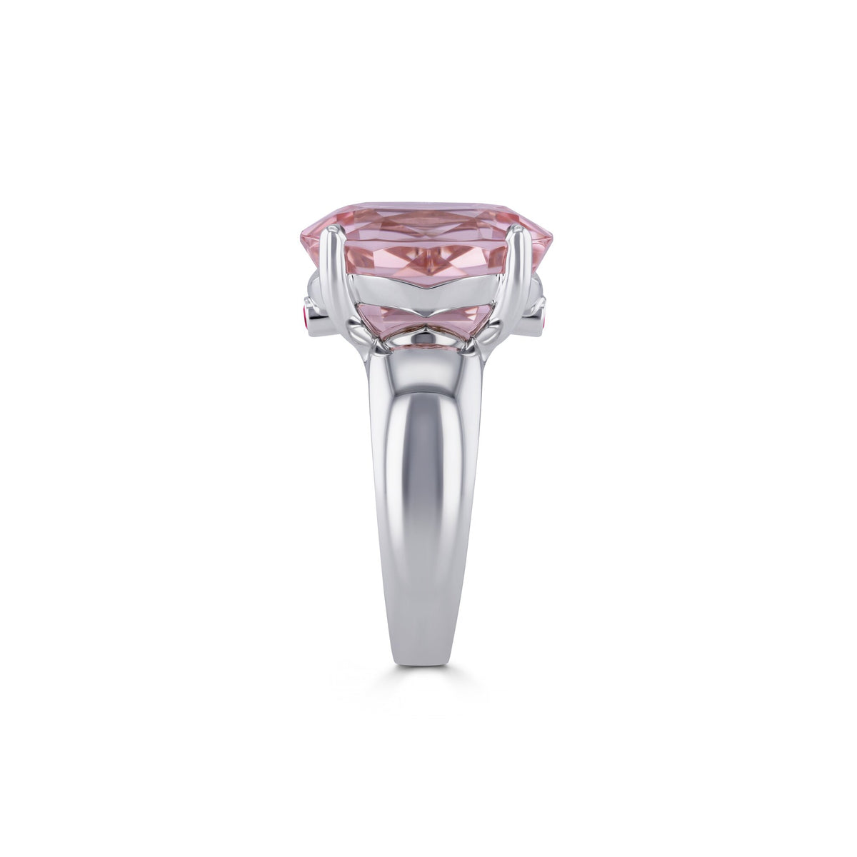Ring WG 750 – 2015723