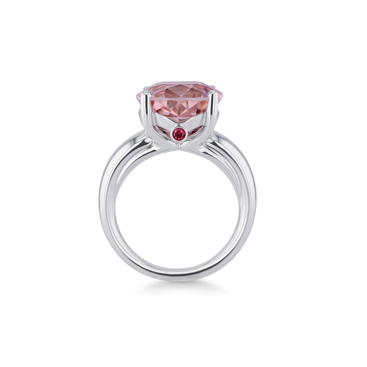 Ring WG 750 – 2015723