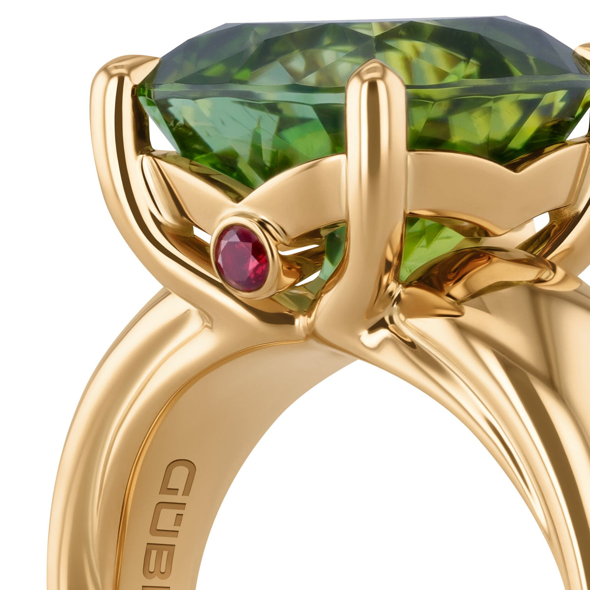 Ring YG 750 – 2015687