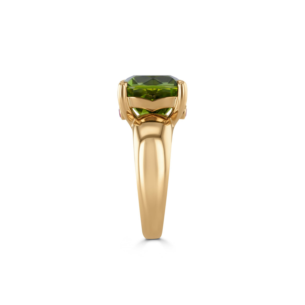 Ring YG 750 – 2015687