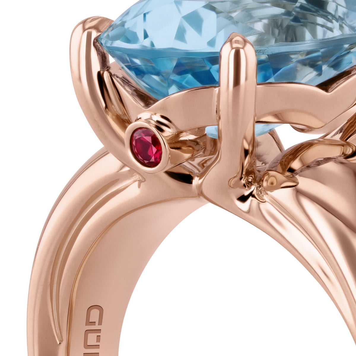 Ring RG 750 – 2015679
