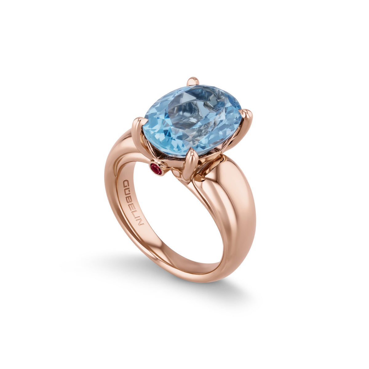 Ring RG 750 – 2015679