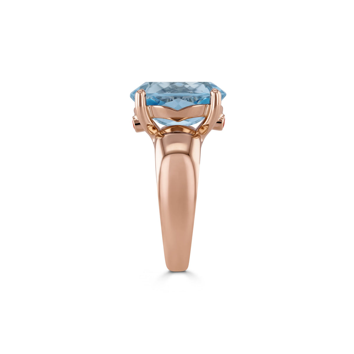 Ring RG 750 – 2015679