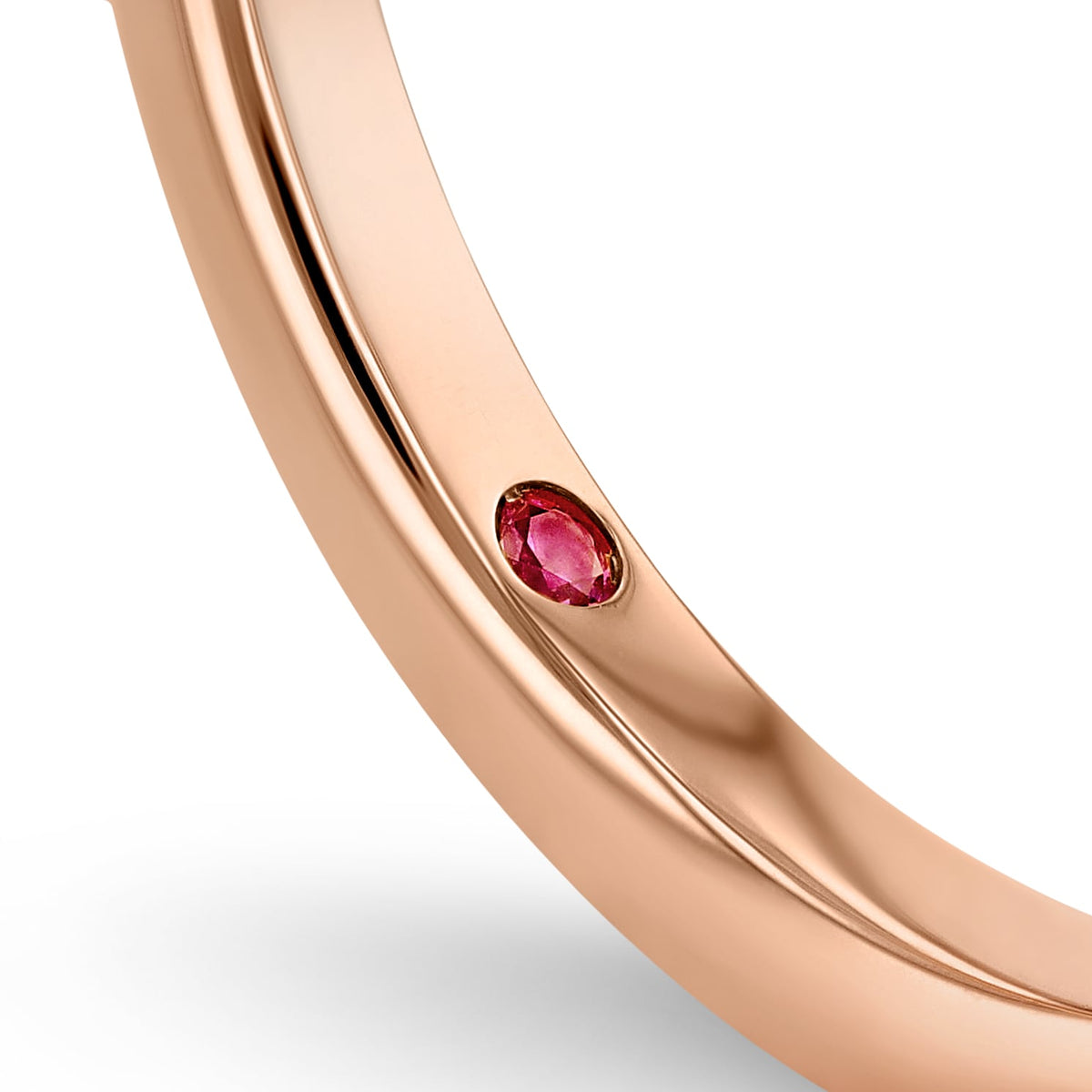 Ring RG 750 – 2005871