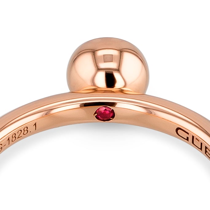 Ring RG 750 – 2005834