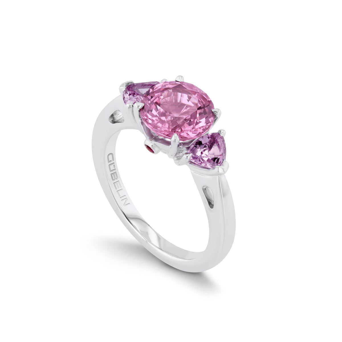 Ring WG 750 – 2014377