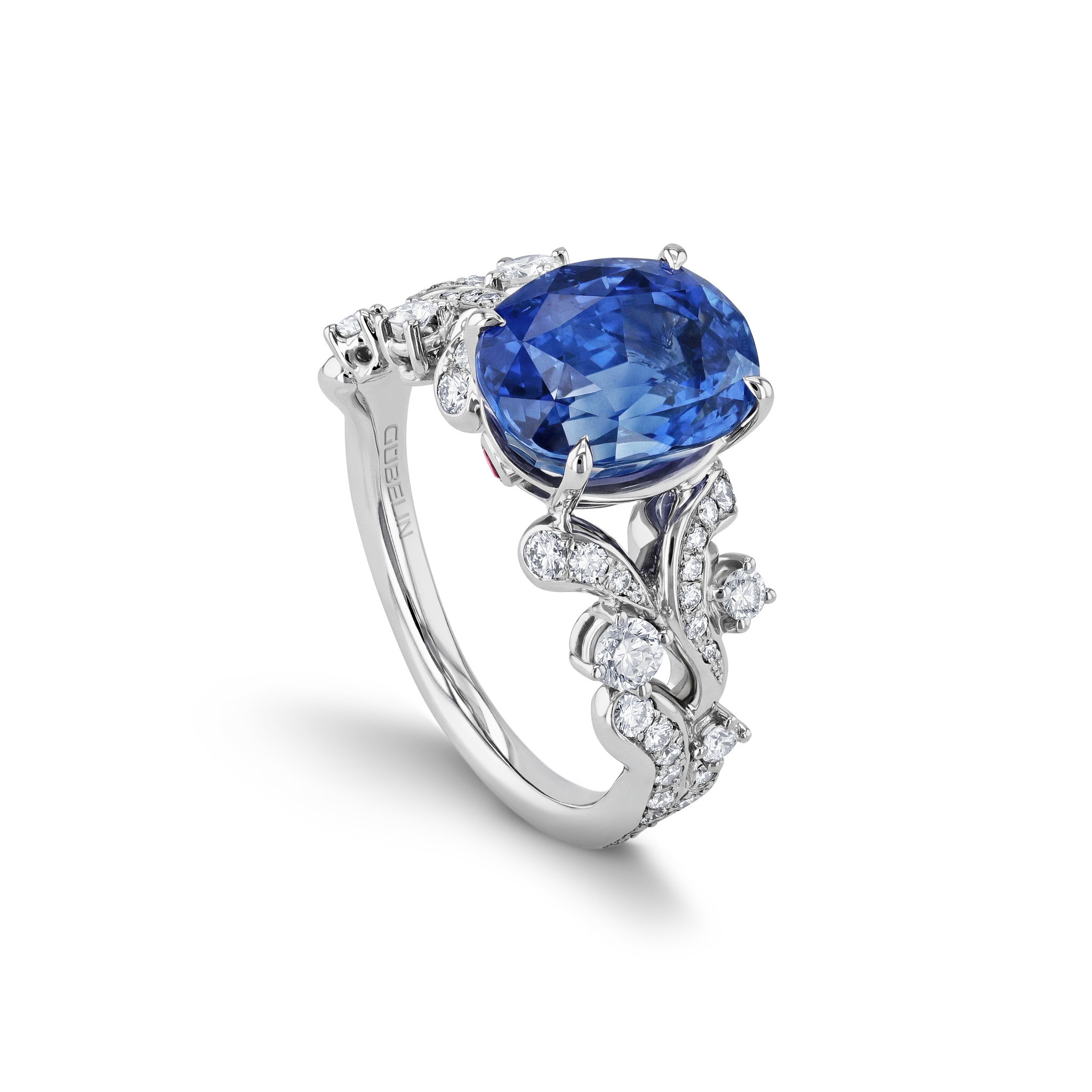 Ring with sapphire | 60A-1866/SAF/OV | Gübelin Jewellery